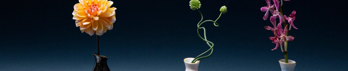 设计师品牌 - Duwebo