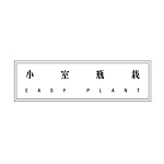 设计师品牌 - 小室瓶栽