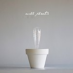 NULL PLANTS