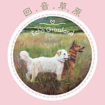 回音草原