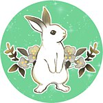 设计师品牌 - ECRABBIT