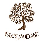 RaschudesyeFairyland