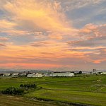 设计师品牌 - 义大利斐欧莉 FIORE D’ORIENTE