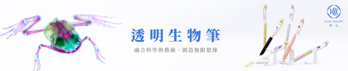 Fish Heart 鱼心标本艺术