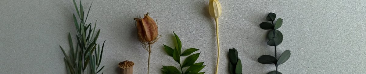 flower life
