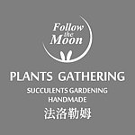法洛勒姆 Follow the Moon