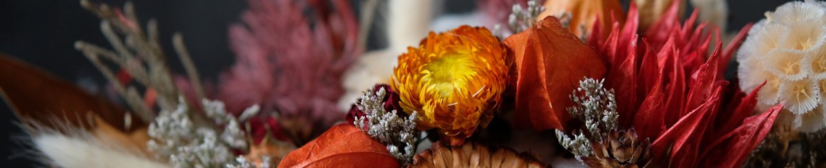 设计师品牌 - 尧木禾贡 FromWoodtoPaper