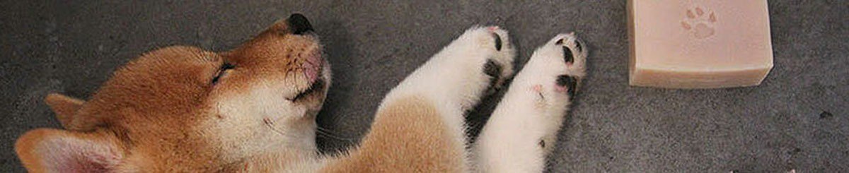 Fur Fun Fun 毛爽爽