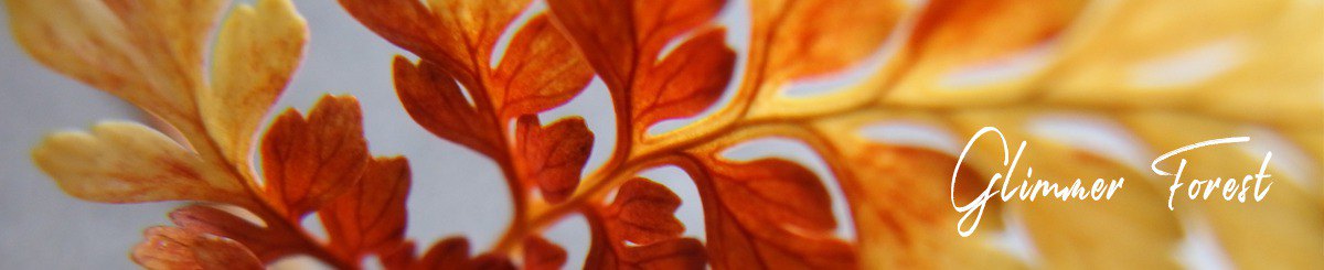 设计师品牌 - 微光森林