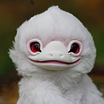 设计师品牌 - Grach Creatures