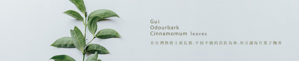 设计师品牌 - 桂gui