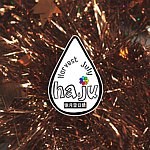 设计师品牌 - ha.ju 柒月壹日晴