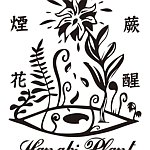 烟花蕨醒