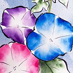 设计师品牌 - haninana