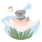 设计师品牌 - Hanhambo 汉汉堡