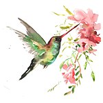 HappyBirds