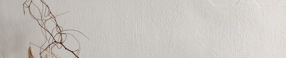 疗物贩 healing the soul