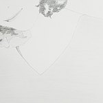 hina工作室