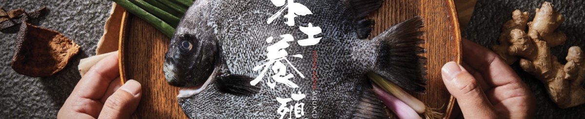 设计师品牌 - 本土养殖
