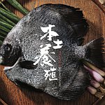 设计师品牌 - 本土养殖