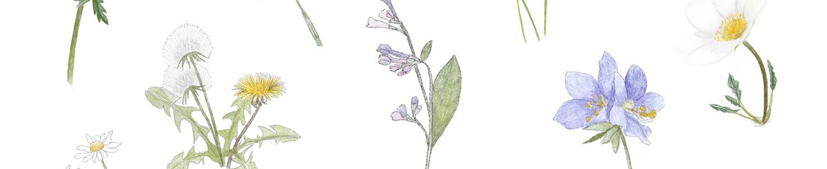 设计师品牌 - honeyherbs