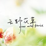 花现希望工作室