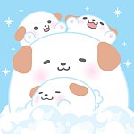 Happy Happy 哈比比