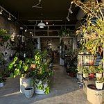 设计师品牌 - Hygge植感+