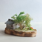 Alace 水蕾丝