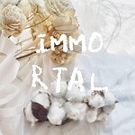 设计师品牌 - Immortal花艺坊