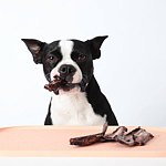 设计师品牌 - 【 INHERENT 】