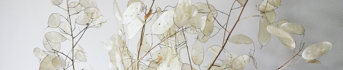 设计师品牌 - INTUITION 植觉