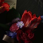 设计师品牌 - is Flower