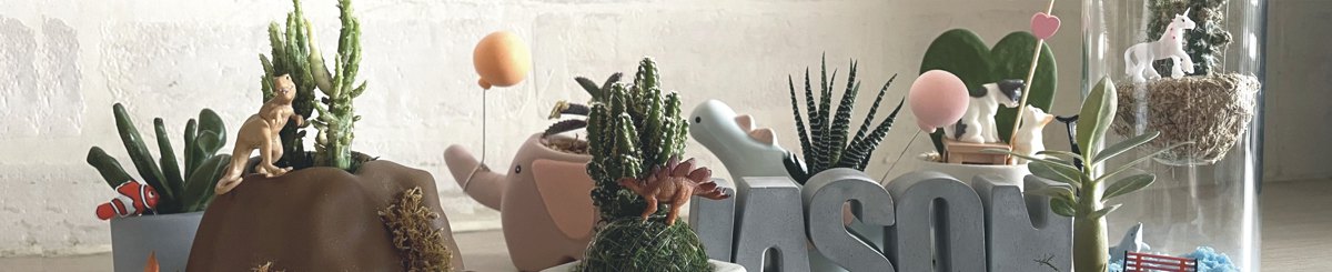杰森植场JASON