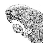 设计师品牌 - 绮针艺兽JY's Animal Art