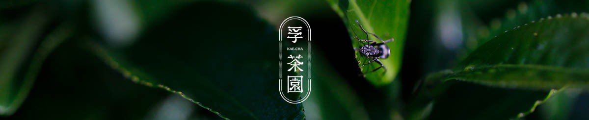 设计师品牌 - 孚茶园