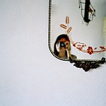 Katie Yang Photographs