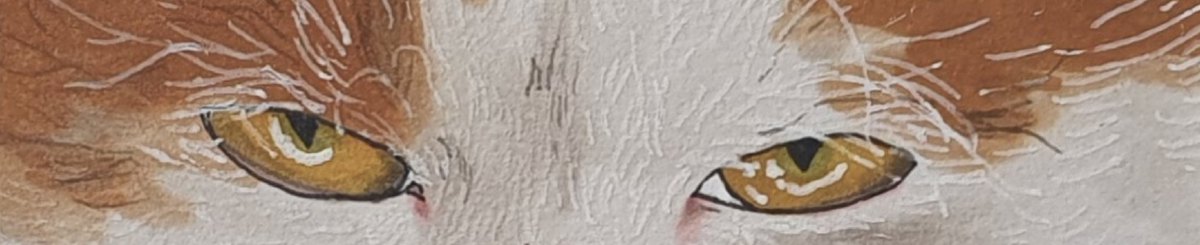 设计师品牌 - Kim Sswang