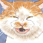 设计师品牌 - Kim Sswang