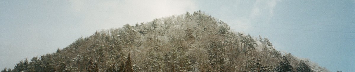 设计师品牌 - 地衣菓子 Koke Lab