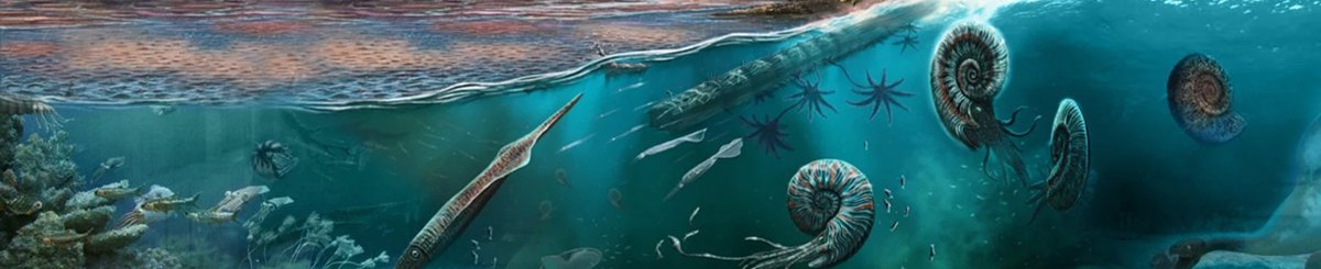 设计师品牌 - Koppi