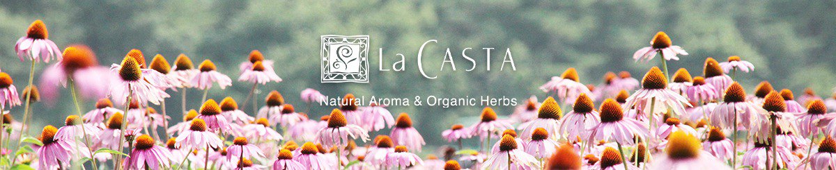 La CASTA