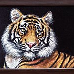 设计师品牌 - LanaArt