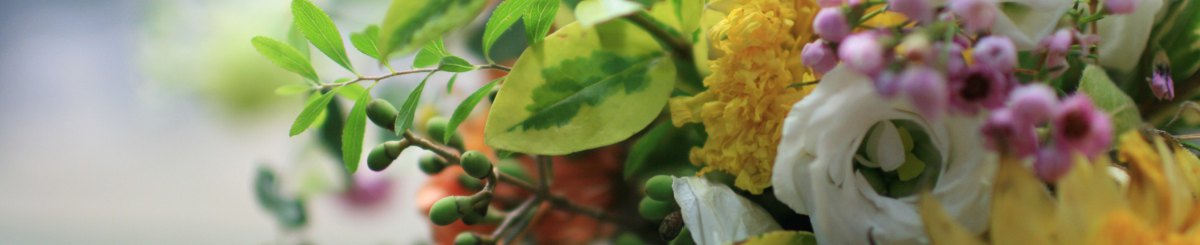 设计师品牌 - LazyScent 懒得花时间