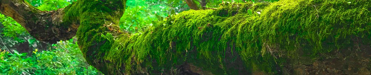 设计师品牌 - Life Puzzle