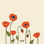 设计师品牌 - lileelil.style