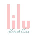设计师品牌 - liluminiatureshop