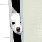 Lipei Huang 黄立佩