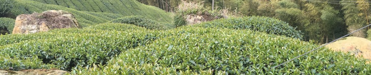 来茗堂