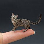 设计师品牌 - loldoll